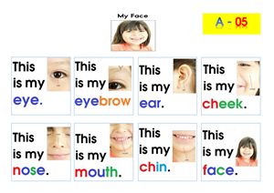 A5- Print A3 - My Face